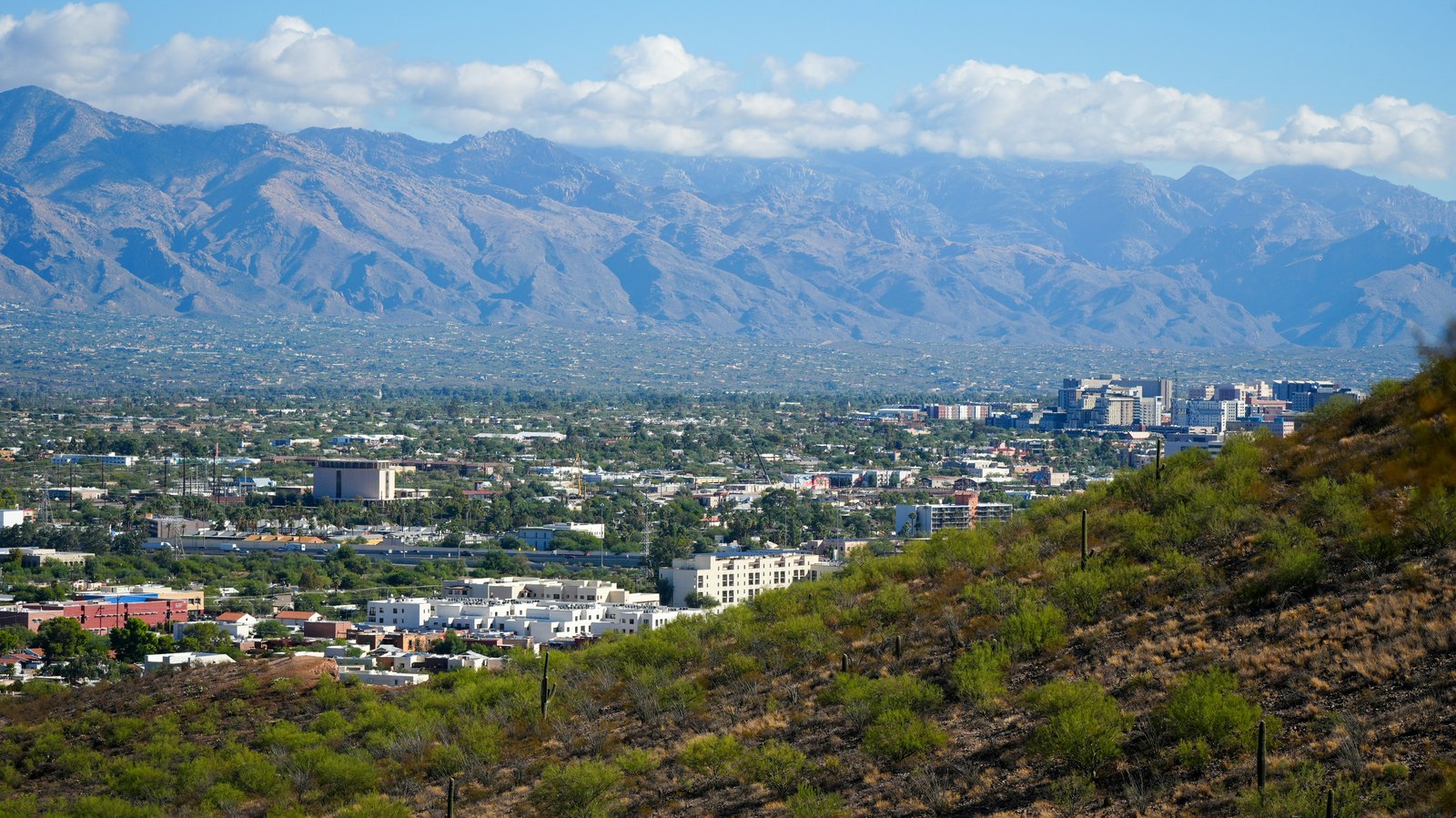 Tucson, Arizona with the Santa Catalina mountains and saguaro desert